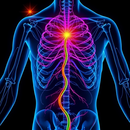 Lineage And Organ Signals Forge Intrinsic Nerves 1778730210