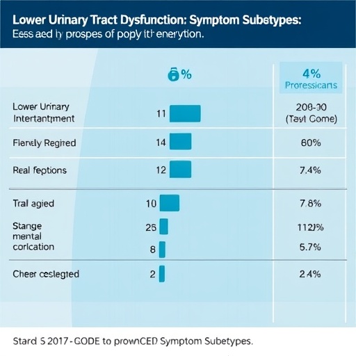 Lower Urinary Tract Dysfunction Symptom Subtypes Revealed 1779884973