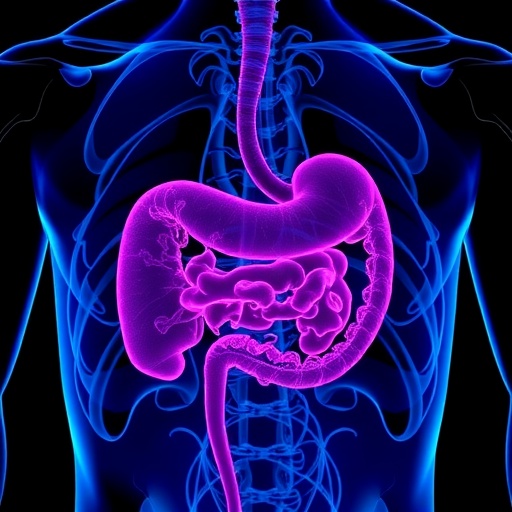 Lowering The Ca19 9 Cutoff Could Help Detect More High Risk Pancreatic Cancer Cases 1779338489