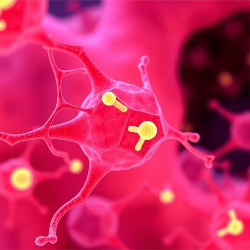 Mapping Proteolysis To Discover Tumor Activated Biosensors 1778511047