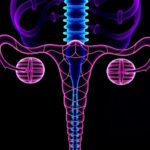 Maveropepimut S Combo Shows Promise In Ovarian Cancer 1778721883