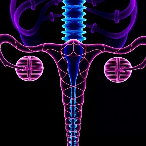 Maveropepimut S Combo Shows Promise In Ovarian Cancer 1778721883