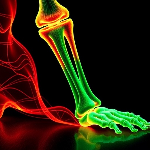 Mcu Controls Bone Growth Through Mitochondrial Calcium 1777713866