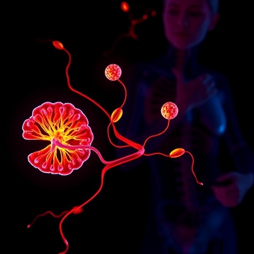 Mitochondrial L 2 Hydroxyglutarate Signals Cellular Metabolism 1779314525