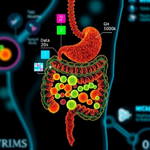 Modern Medicine Significantly Reduces Gut Microbial Diversity 1779292726