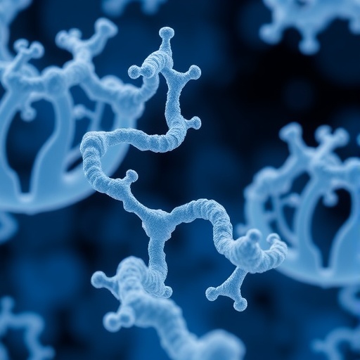 Modular Peptide Nanofibres Defeat Antimicrobial Resistance 1779289077