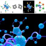 Molecular Catchers Enable Precise Structure Determination 1779903762