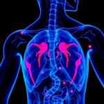 Muscle Mitochondria And Quality Of Life In Prostate Cancer 1779915142