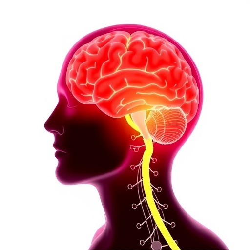 Nih Funded Research Indicates Testosterone May Inhibit Brain Tumor Growth In Males 1778085386
