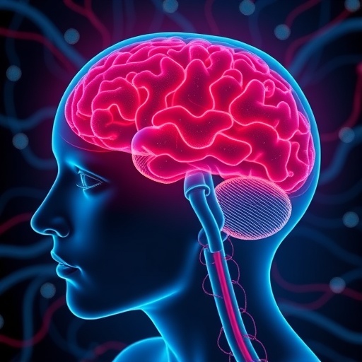 Neurovascular Coupling In Amygdala Influences Negative Emotions 1779865420