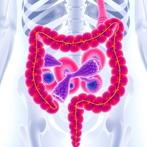 New Mount Sinai Study Reveals Breakthrough Strategy To Overcome Immunotherapy Resistance In Colorectal Cancer 1778104355