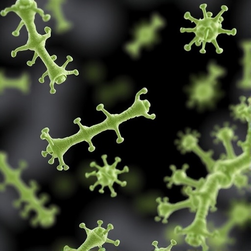 New Phages Uncover Resistance Genes In Dorea 1779828747