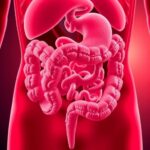 New Study Connects Age Related Gut Changes To Higher Disease Risk 1778876965
