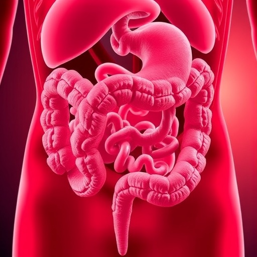 New Study Connects Age Related Gut Changes To Higher Disease Risk 1778876965