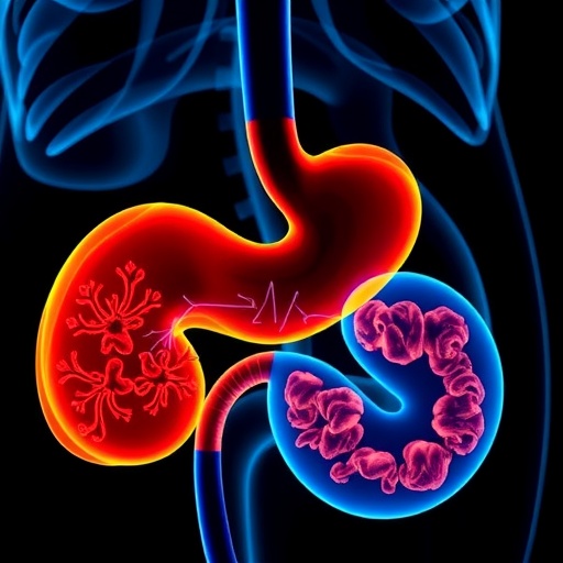 New Study Enhances Early Detection Of Pancreatic Cancer In Patients With Low Risk Pancreatic Cysts 1779305553