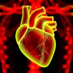 New Study Investigates Enhanced Methods For Diagnosing A Commonly Overlooked Heart Condition 1778700510