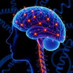 New Study Maps Brain Transposable Element Rna Dynamics Across Lifespan And Neurodegenerative Diseases 1779992061