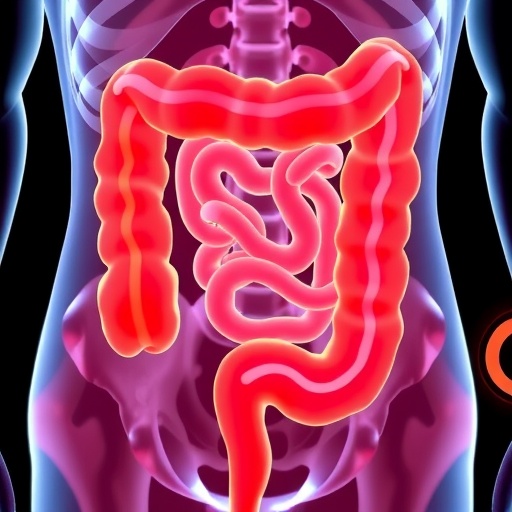 New Colorectal Cancer Guidelines Highlight Advanced Stool Tests Advise Cautious Use Of Blood Based Screening 1779886530