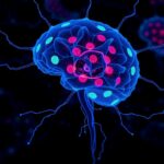 Ofc Modularity Boosts Symptoms Attention In Schizophrenia 1780171527