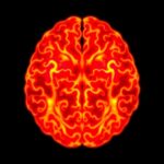 Reprogramming Glioblastoma Temozolomide Response Via Cell Death 1779988590