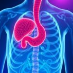 Revolutionizing Gastro Oesophageal Adenocarcinoma Treatment Progress And Prospects 1778878048