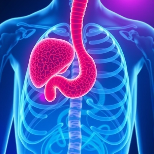 Revolutionizing Gastro Oesophageal Adenocarcinoma Treatment Progress And Prospects 1778878048