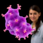 Rice Scientists Create Realistic ‘Mock Samples To Accelerate Cervical Cancer Test Development 1778699845