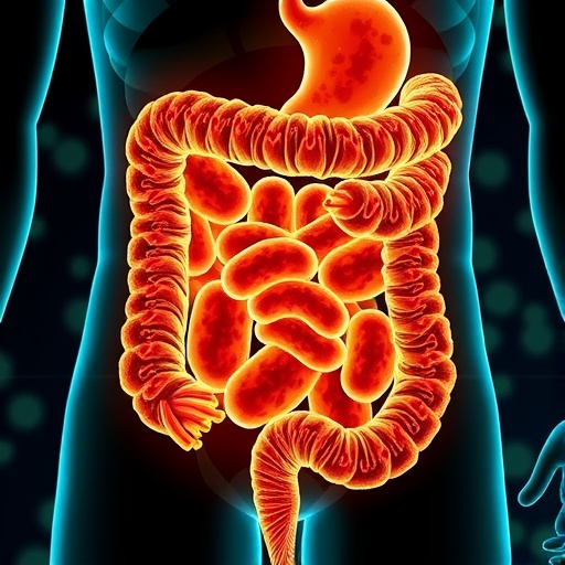 Scientists Uncover Mechanism Of Gut Bacteria Toxin Invading Colon Cells To Initiate Cancer 1778185642