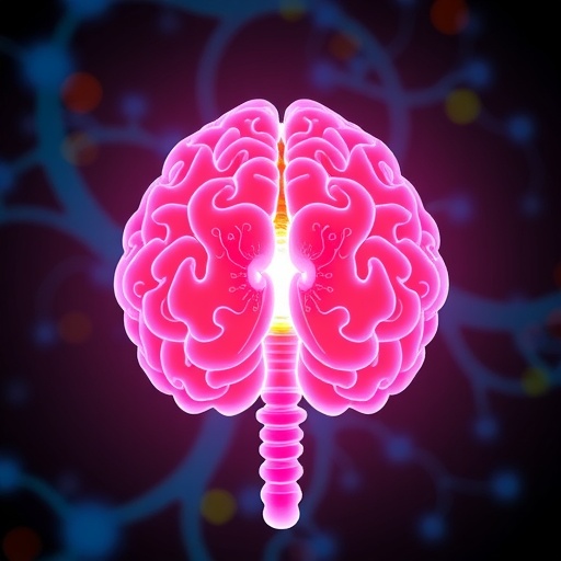 Semaglutide Triggers Weight Loss Via Hindbrain Camp 1779456930