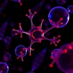 Serum Extracellular Vesicle N Glycome Emerges As A Promising Non Invasive Biomarker For Childhood Epilepsy 1778791642