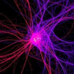 Single Cell Map Reveals Immune Shift In Als 1778766096