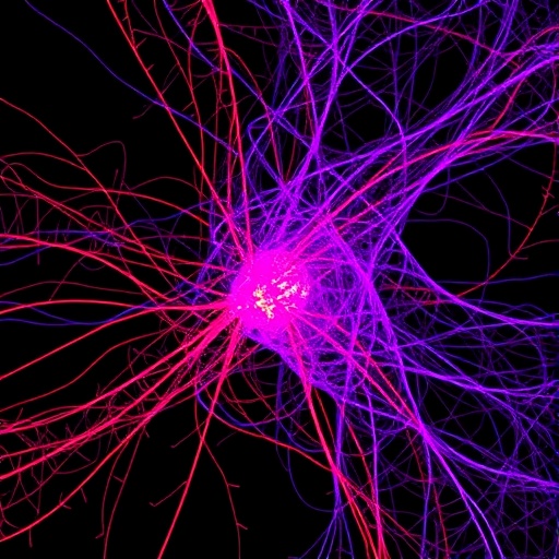 Single Cell Map Reveals Immune Shift In Als 1778766096