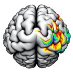 Sparse To Dense Coding In Hippocampal Ca3 Ca1 1779904702