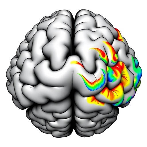 Sparse To Dense Coding In Hippocampal Ca3 Ca1 1779904702