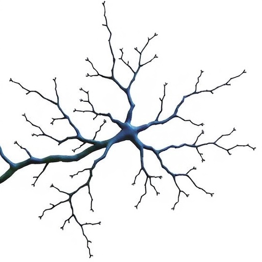Stochastic Growth And Ligand Signaling Shape Dendrites 1777907242