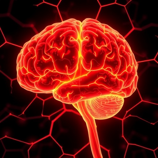 Study Reveals Heat Based Therapy Reshapes Brain Networks In Epilepsy 1778843903