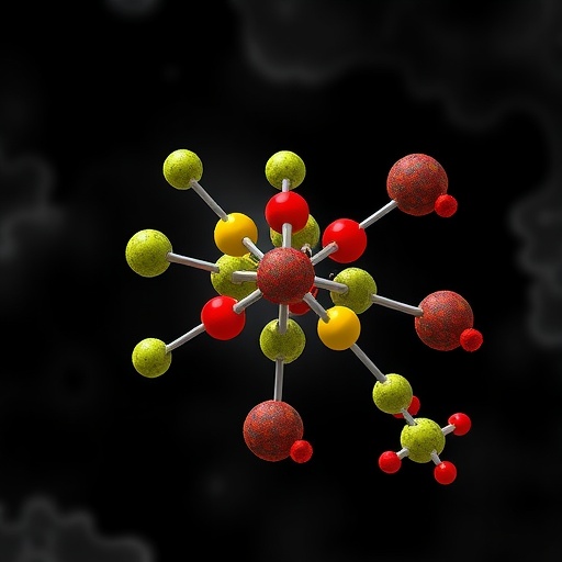 Succinate Dehydrogenase Loss Blocks Pyrimidine Biosynthesis 1777899927
