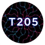 Tau T205 Phosphorylation Controls Memory And Engrams 1778989758