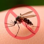 Think Deet Repels Mosquitoes They Might Actually Be Developing A Taste For It 1779985835
