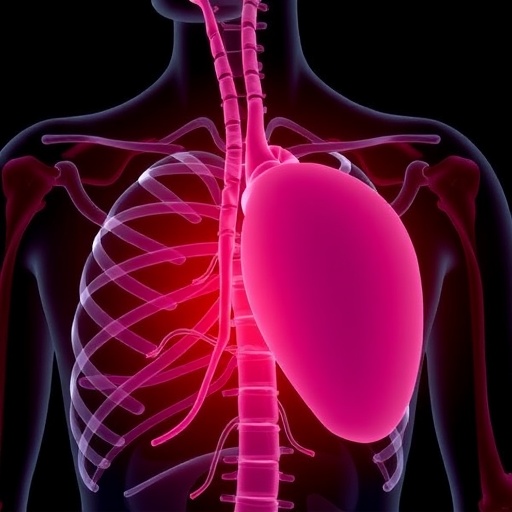 Tracking Frailty Patterns In Elderly Heart Attack Patients 1778801071