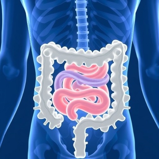 Transplantable Large Scale Functional Human Gut Tissues 1779452082