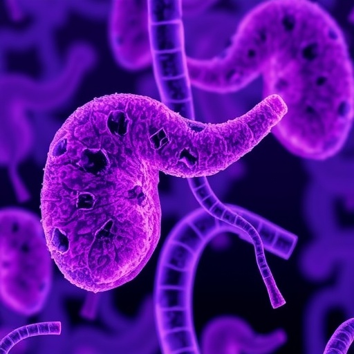 Trinity Researchers Release Comprehensive Guide To Decoding Pancreatic Cancer One Of The Most Lethal Cancers 1778090905