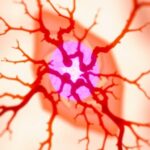 Um School Of Medicine Secures 2.9 Million Federal Grant To Enhance Advanced Microscopy For Accelerating Neuroscience Break...