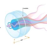 Ultrafast And Versatile Magnetic Soft Robots Inspired By Jellyfish For Advanced Biomedical Applications 1778771504