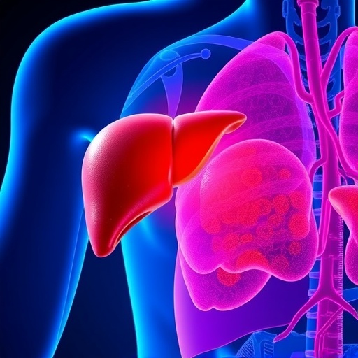 Understanding Cirrhosis Portal Hypertension And Liver Cancer 1778094089