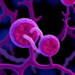 Unlocking Pancreatic Development And Cellular Plasticity 1778708724