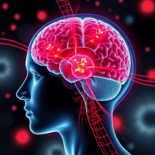 Viscous Stress Accelerates Glioblastoma Cell Invasion 1779300084
