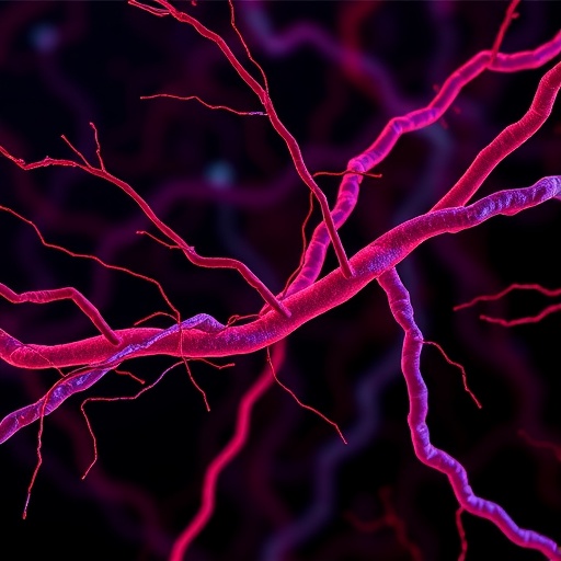 Α Synuclein Fibrils Trigger Lrrk2 Disrupt Synapses 1778774974