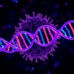 Αkg Boosts Dna Repair Through Histone Acetylation 1779908369