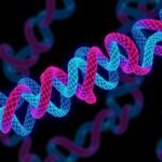 Β Arrestin Condensates Control Gpcr Function 1779923013